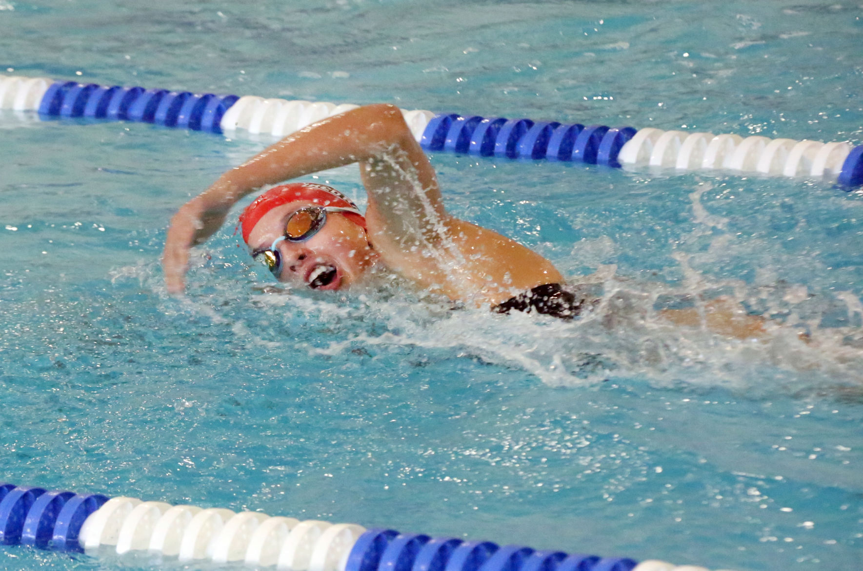 Ocean City Ridley Swimming